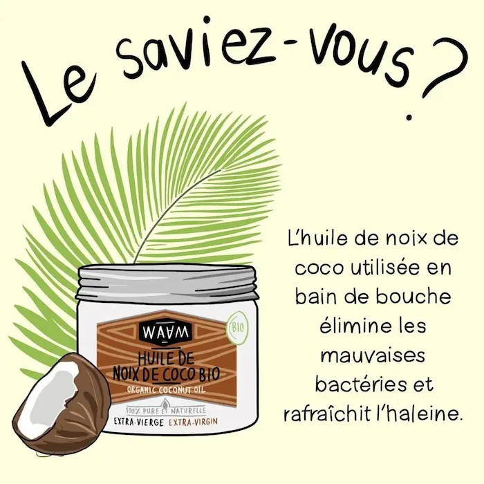 Huile de Noix de Coco Extra Vierge BIO - WAAM – Image 3